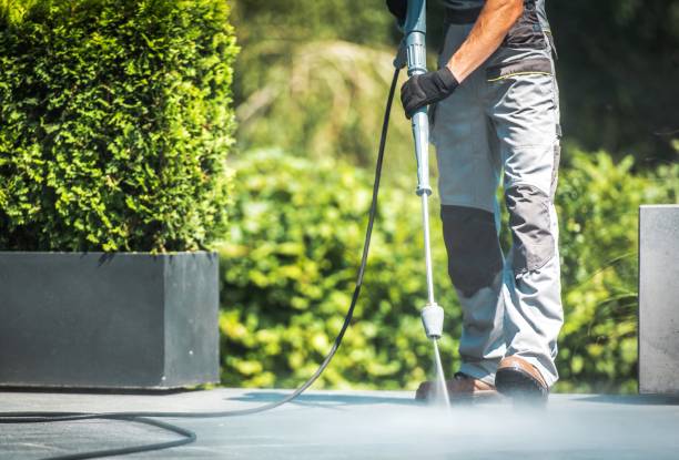 Best Driveway Pressure Washing  in Eagan, MN