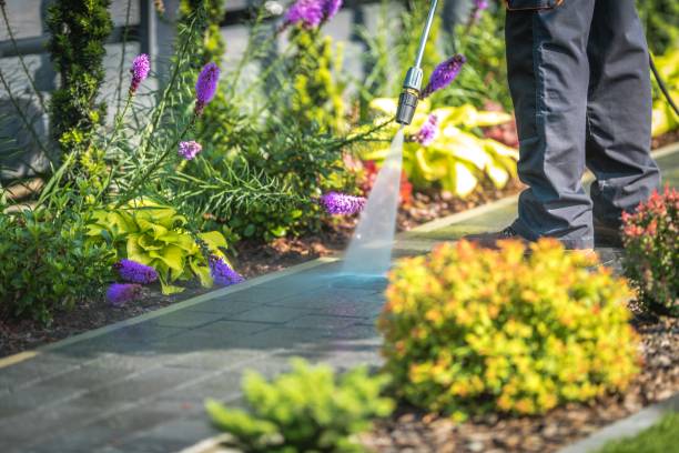 Best Pre-Holiday Cleaning  in Eagan, MN