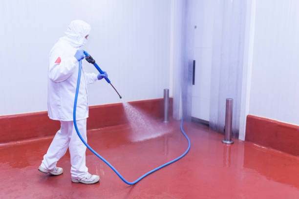 Best Sidewalk and Walkway Cleaning  in Eagan, MN